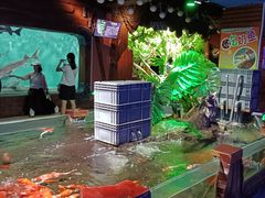 -太平洋海底世界