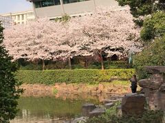 -昆山城市公园