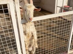 -金庭庄园酒店-停车场