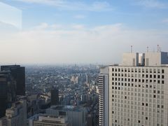 -东京都厅舍