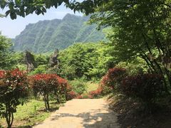 -山王坪喀斯特国家生态公园