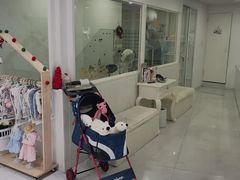 -BABYDOG宝贝狗宠物乐园(欧洲城店)