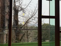 -逸廊大堂吧-下午茶·简餐-千岛湖自由洲际殿