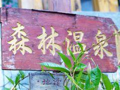 -云涛森林温泉