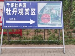 -洛阳市隋唐城遗址植物园