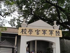 -长洲岛