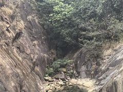 -广州白江湖森林公园