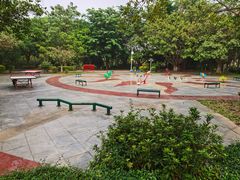-滴水岩森林公园