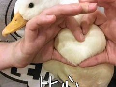 -槐店王婆大虾(长江道店)