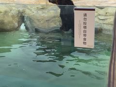 -美林大浴场(奥体中心店)