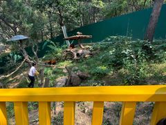 -大连森林动物园