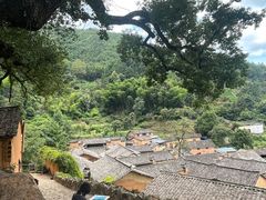 -杨家堂村