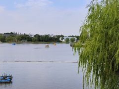 -上海长兴岛郊野公园