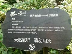 -保利石象湖景区