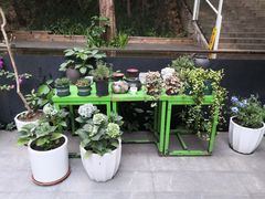 -箱美术馆私房菜(水晶郦城店)