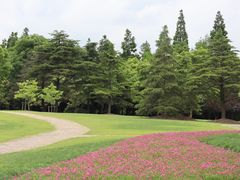 -上海滨江森林公园
