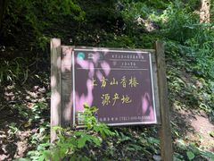 -北京上方山国家森林公园