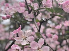 -同济大学-北苑食堂