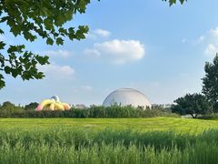 -圣露庄园·亲子活动乐园·露营·团建婚礼
