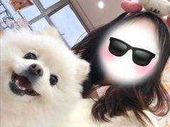 -汪说·狗咖·拼豆·宠物周边DIY(旺城大厦店)