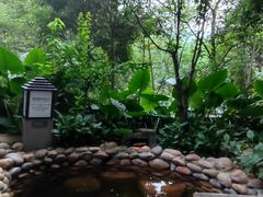 -融汇温泉