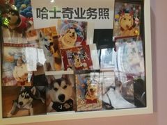 -Husky Go! 哈士奇体验馆·宠物咖啡厅狗咖