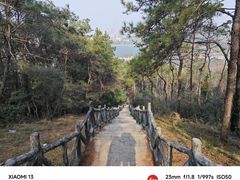 -青龙山国家森林公园
