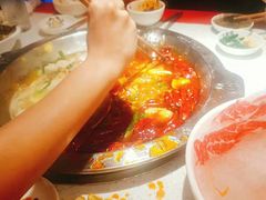 -DaLongYi Hotpot - 大龙燚火锅 - 地道四川老火锅