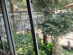 -蘇河湾·新鲁菜·泰山宴(泰山店)