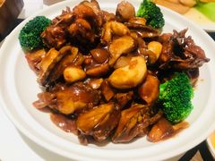 鲍鱼烧鸡-张生记(丁香国际店)