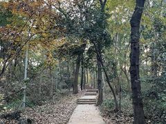 -九曜山