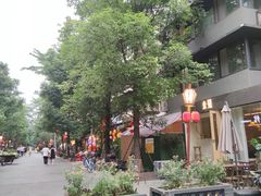 -泡桐树街