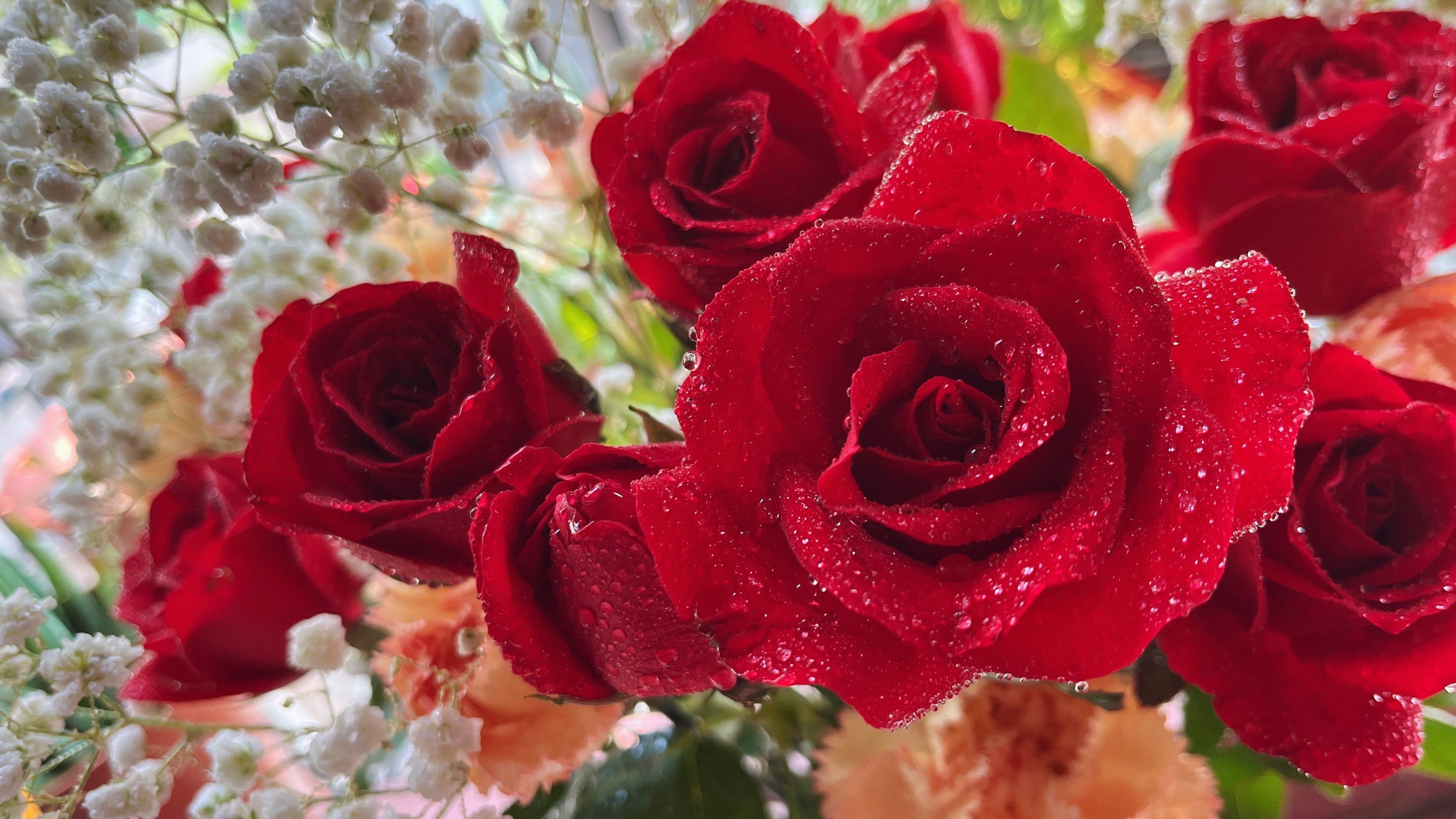 带刺玫瑰却又是满心的爱