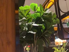 -半秋山西餐厅(宜昌大洋店)