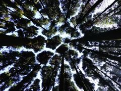 -山王坪喀斯特国家生态公园
