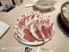 招牌羔羊肉-阳坊大都涮羊肉(阳坊总店)