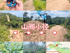 -青龙山国家森林公园