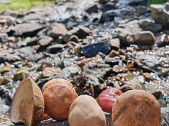 -苏木山森林公园