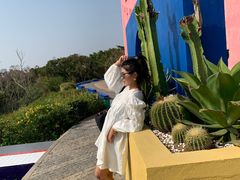 -漳州滨海火山岛自然生态风景区