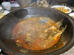 -肥鱼屯活鱼锅(惠工街店)