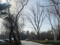 -思念果岭悦温泉