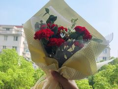 -Dark Horse·黑马蛋糕·低脂·低糖淡奶(金匙望湖大厦店)