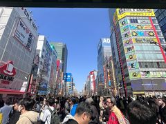 -秋叶原电器街