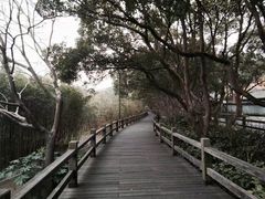 -普陀山风景区-佛顶山