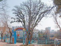 -海合安武汉极地海洋公园