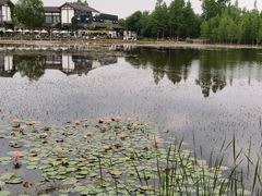-白鹭湾湿地公园