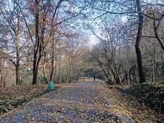 -大蜀山国家森林公园