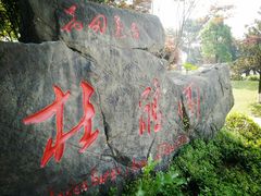 -铁山坪森林公园