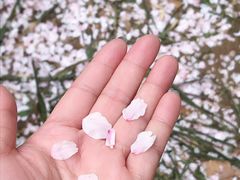 -UNI UNI(环亚凯瑟琳店)