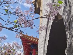 -哈尔滨极乐寺